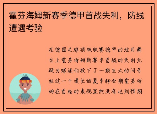 霍芬海姆新赛季德甲首战失利，防线遭遇考验